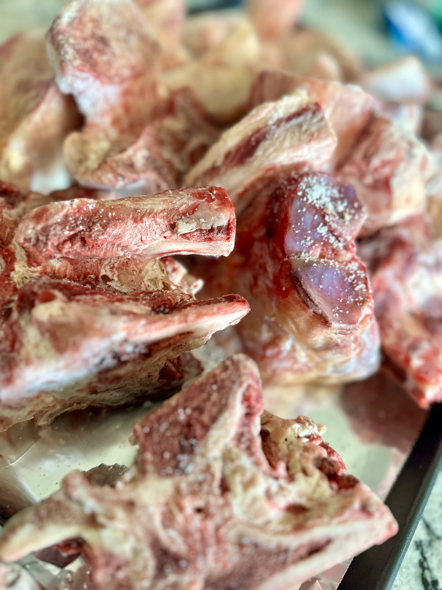 Lamb Bones