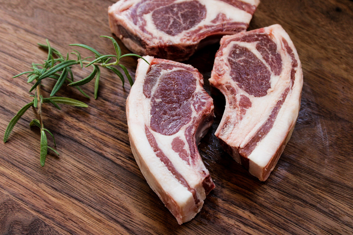 Lamb