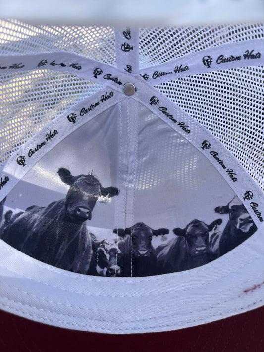 Curved Bill Hat
